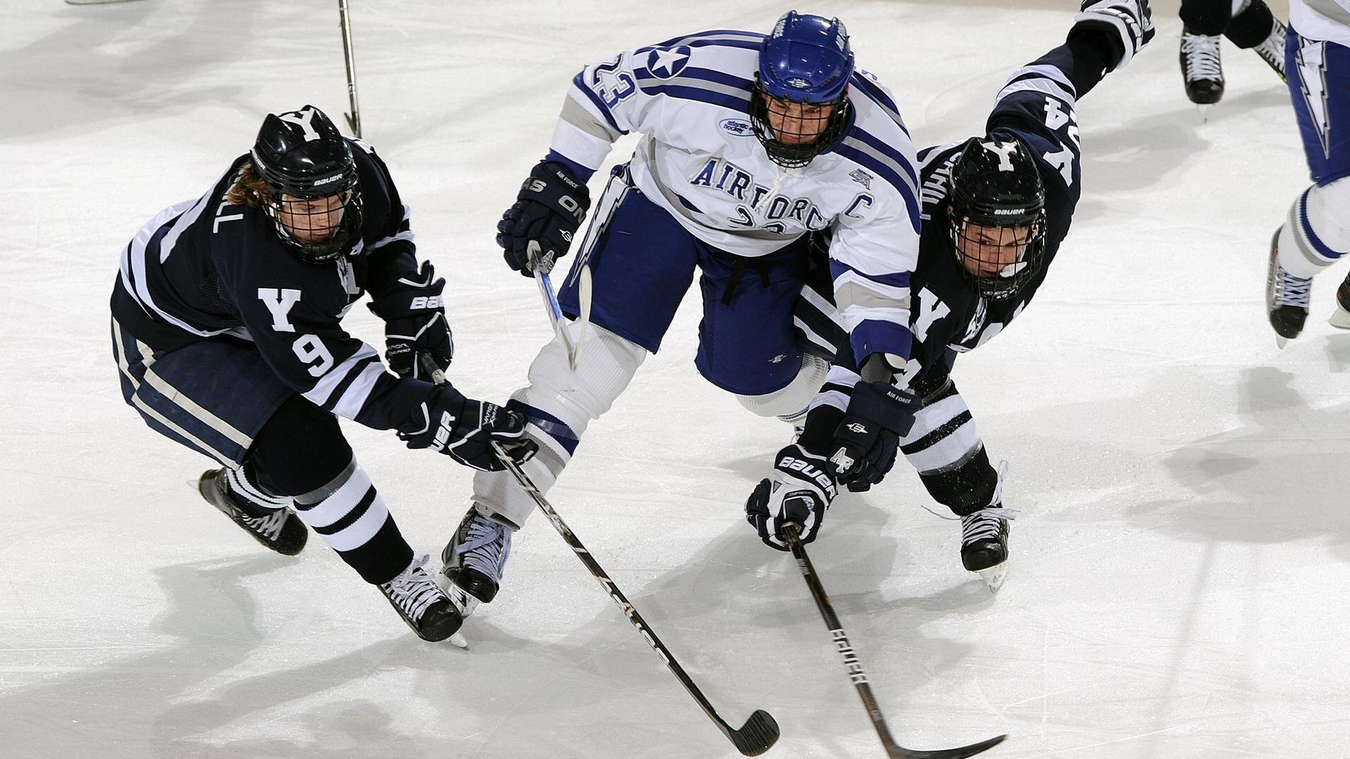 世界杯赛事城市安保志愿者培训体系标准化推进